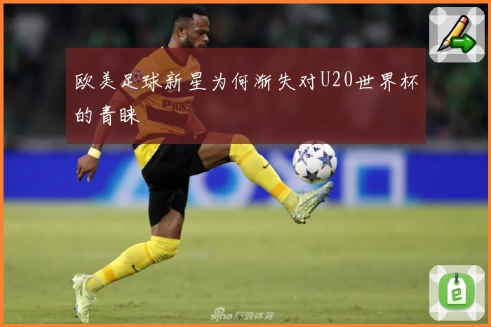 欧美足球新星为何渐失对U20世界杯的青睐