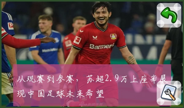 从观赛到参赛，苏超2.9万上座率展现中国足球未来希望