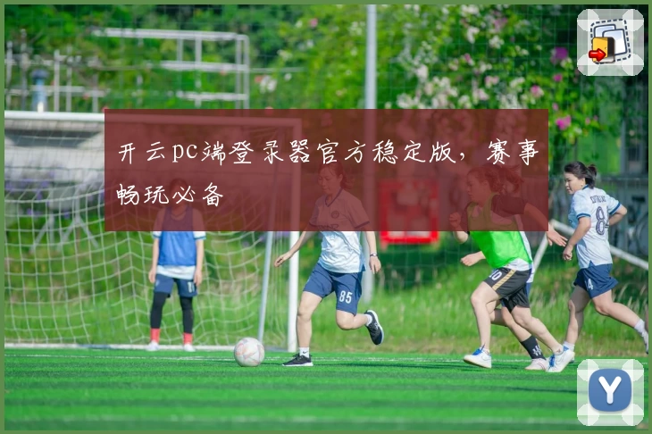 开云pc端登录器官方稳定版，赛事畅玩必备