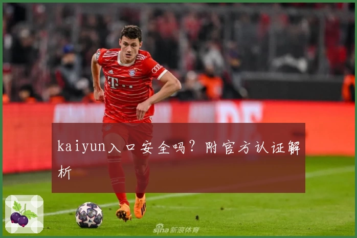 kaiyun入口安全吗？附官方认证解析