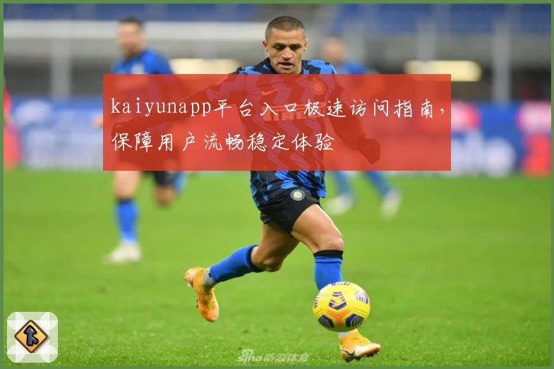 kaiyunapp平台入口极速访问指南，保障用户流畅稳定体验