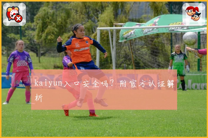 kaiyun入口安全吗？附官方认证解析
