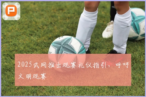 2025武网推出观赛礼仪指引，呼吁文明观赛